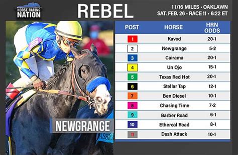 redzel stakes betting|Redzel 2022 Field, Odds, Results, Tips .